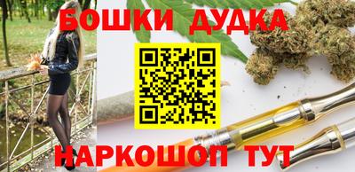 индика Малгобек