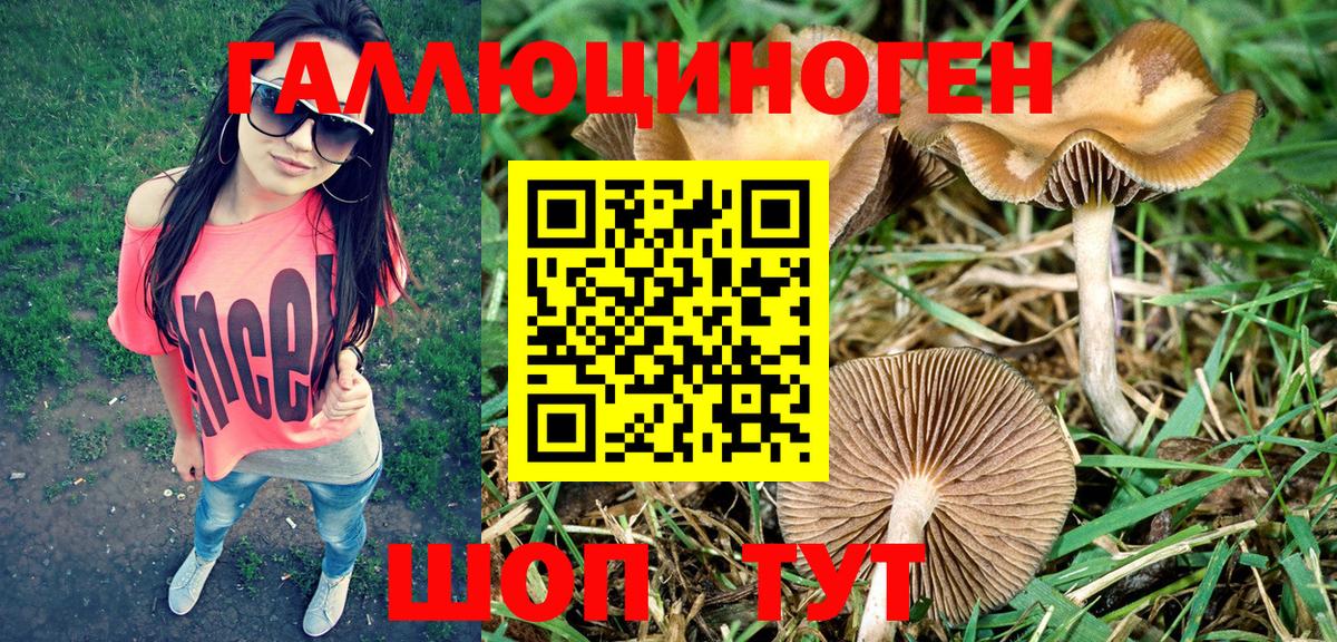 Тимашёвск  Псилоцибиновые грибы ЛСД  Вход с VPN  Псилоцибиновые грибы Magic Shrooms 