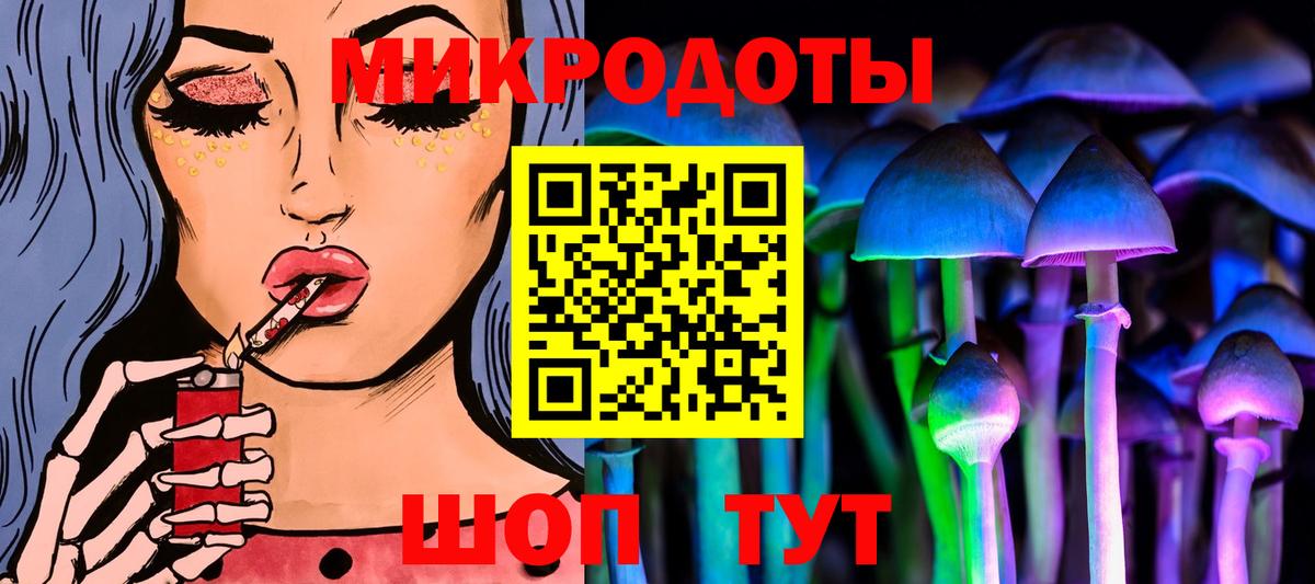 Псилоцибиновые грибы Psilocybe Тимашёвск